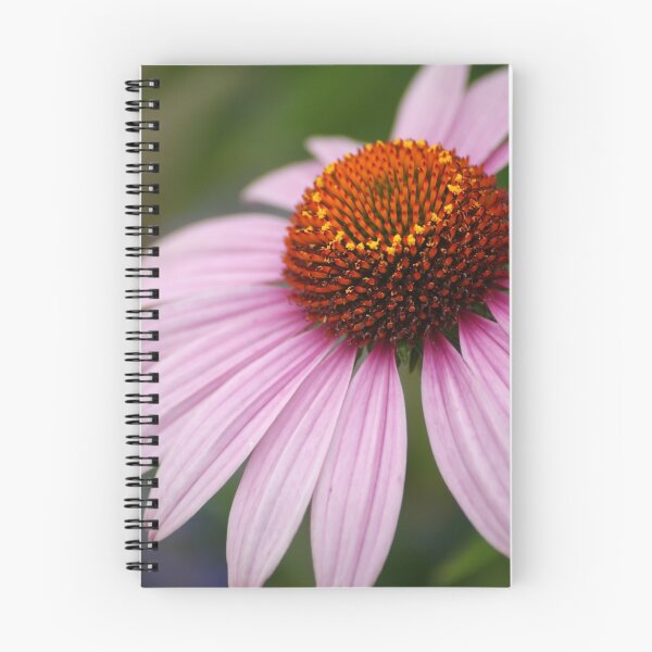 Item preview, Pink Coneflower designed and sold by crystalventerseye.