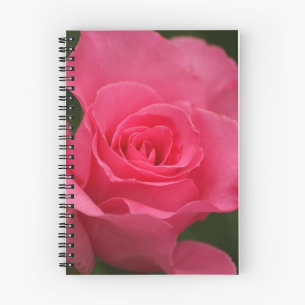 Item preview, Pink Rose designed and sold by crystalventerseye.