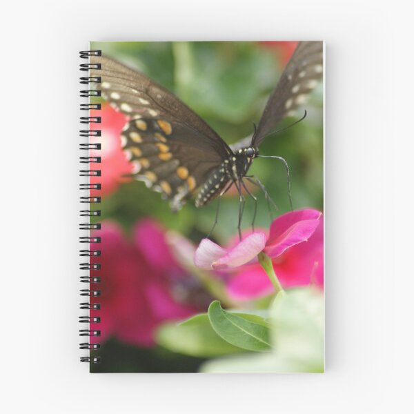 Item preview, Black Swallowtail on Pink designed and sold by crystalventerseye.