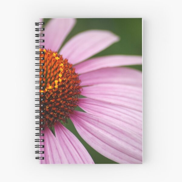 Item preview, Pink Coneflower designed and sold by crystalventerseye.