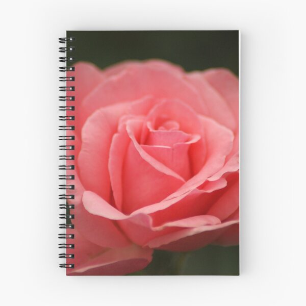 Item preview, Pink Rose designed and sold by crystalventerseye.