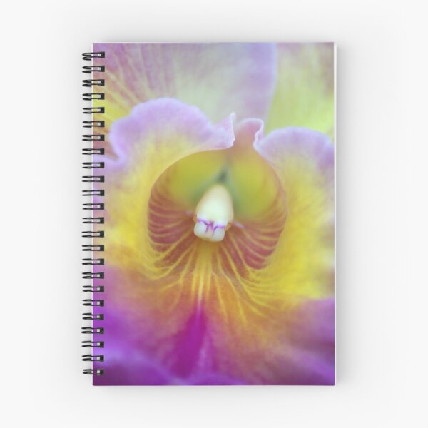 Item preview, Colorful Orchid designed and sold by crystalventerseye.