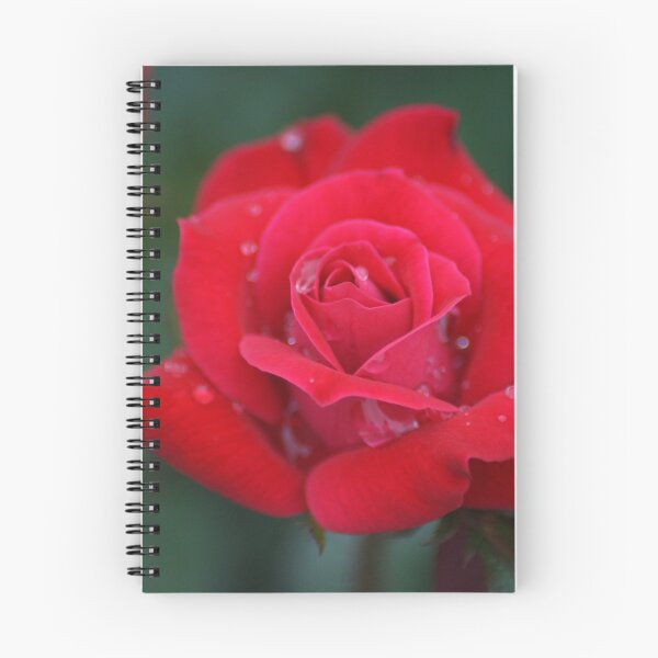 Item preview, Rainy Red Rose designed and sold by crystalventerseye.