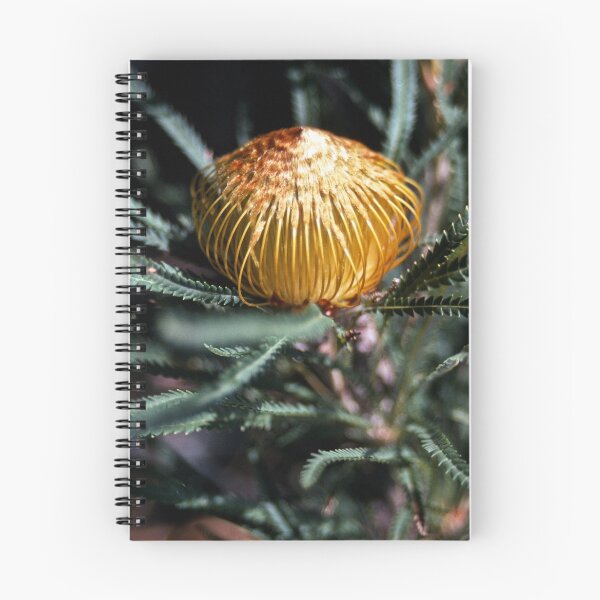 Item preview, Shiny Protocea  Bluff Knoll Stirling Ranges 19820830 0038 designed and sold by Fred Mitchell.