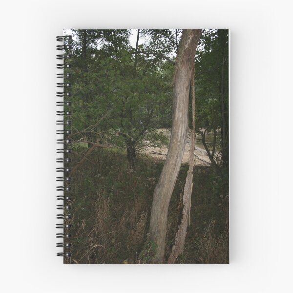 Item preview, Naked Tree designed and sold by ojburritt.