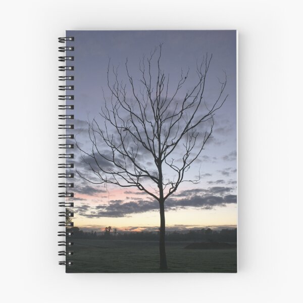 Item preview, Winter Sunrise - Mawson Lakes, South Australia designed and sold by Nathan Lam.