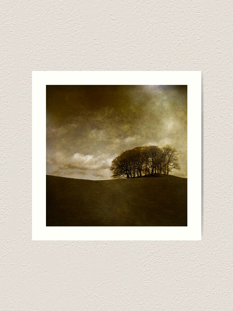 Alternate view of The Copse Art Print