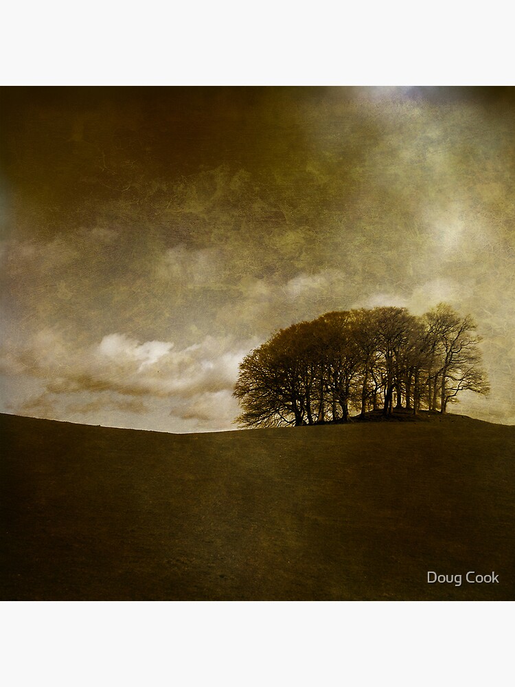 The Copse by DougCook