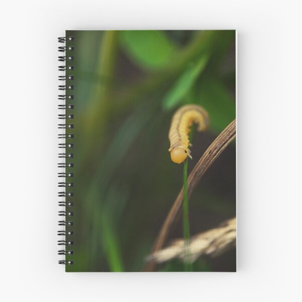 Artikelvorschau, Happy Caterpillar entworfen und verkauft von Matt Sillence.