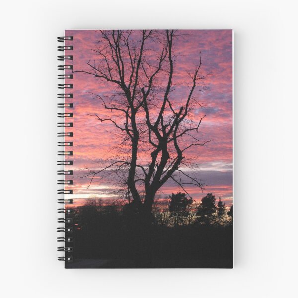 Item preview, Bare tree silhouetted by pink sunset designed and sold by mikekane.