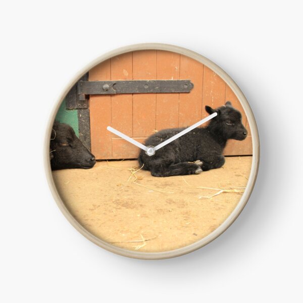 Vauxhall City Farm - Ewe & Lamb (Clover & Anise, Sleepy) Clock