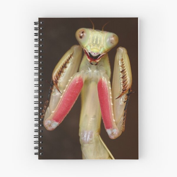 Item preview, jade mantis threat pose female designed and sold by Scott Thompson.
