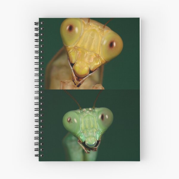 Item preview, adult pair of jade mantids  mug shots designed and sold by Scott Thompson.