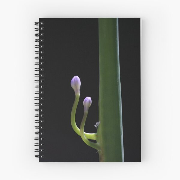 Item preview, Purple Agapanthus buds 6724 designed and sold by João Castro.