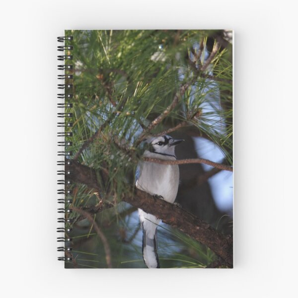Item preview, Blue Jay in Pine designed and sold by Lisa Putman.