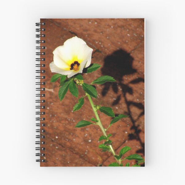Item preview, The Quest For Beauty ~ Part Three designed and sold by artisandelimage.