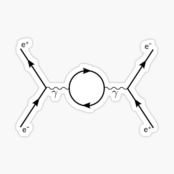 Second Order Feynman Diagram- Particle Physics Sticker