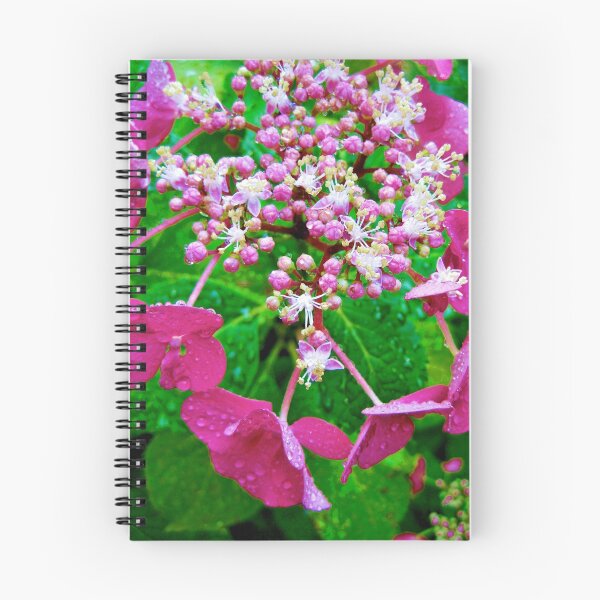 Item preview, Hydrangea Beauty designed and sold by Lynnette Falls.
