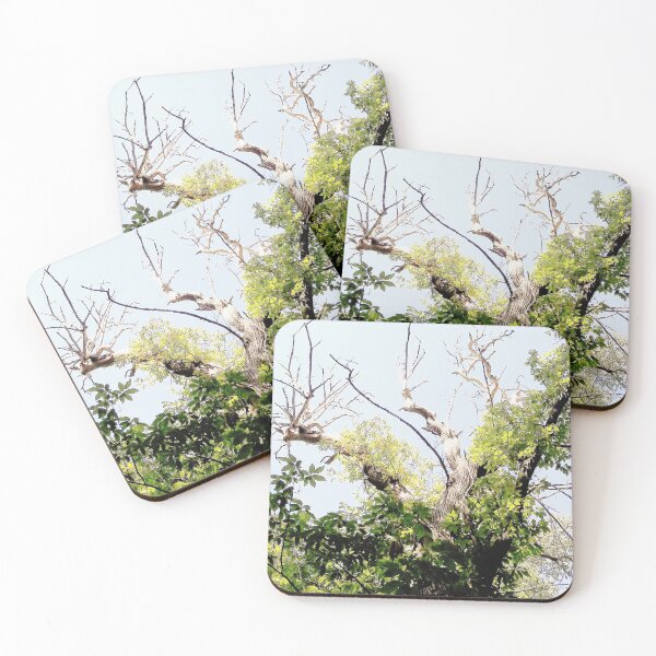 Item preview, Countryside, Lakes & Forest C172 designed and sold by Hyperion Photoart.
