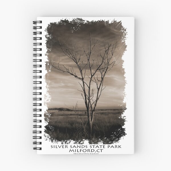 Item preview, Silver Sands State Park - Árbol solitario designed and sold by Tim Mannle.