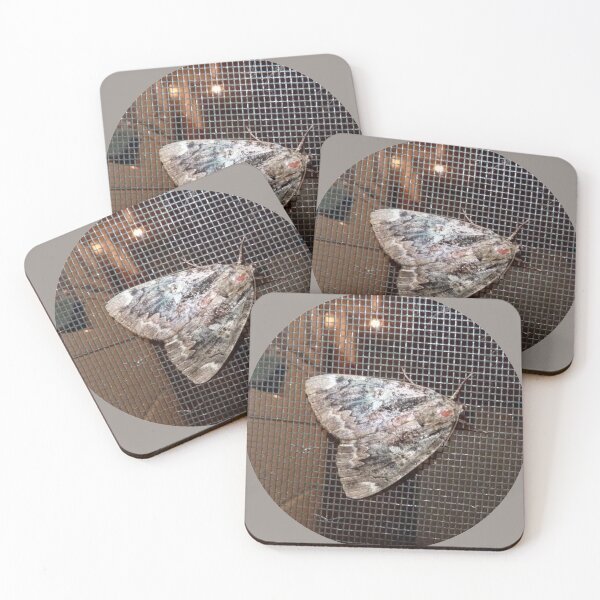 Item preview, Night butterfly designed and sold by Martin Boisvert.
