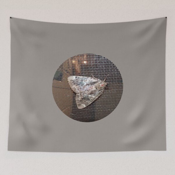 Item preview, Night butterfly designed and sold by Martin Boisvert.