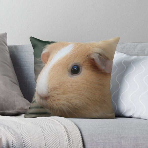 Vauxhall City Farm - Guinea Pig (Ginger) Throw Pillow