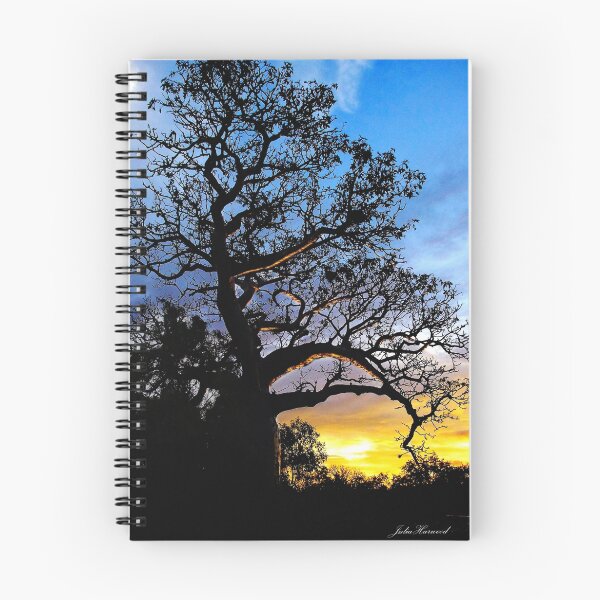 Item preview, Boab Tree, Derby designed and sold by JuliaKHarwood.
