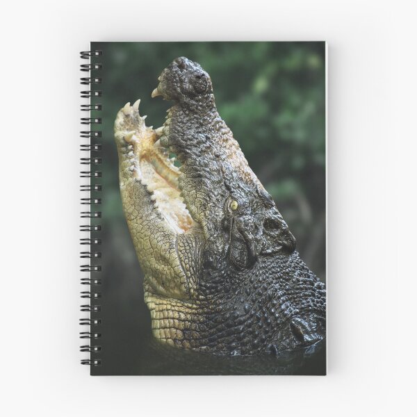 Item preview, Crocodile Smile designed and sold by Mark Shean.