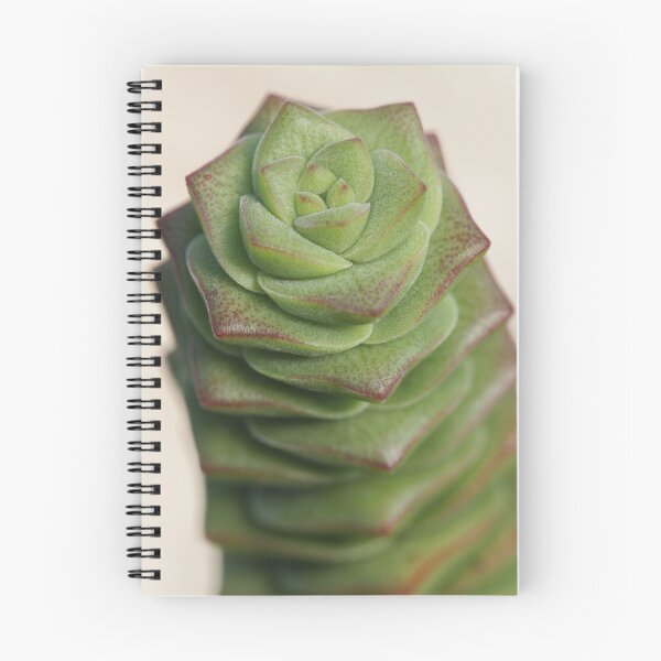 Item preview, Crassula columella designed and sold by Etwin.