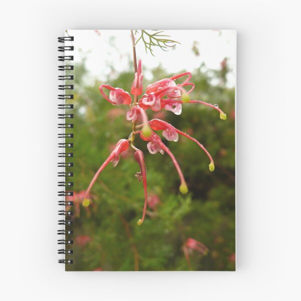 Item preview, Australian Native Flowers Series 2 designed and sold by beeden.
