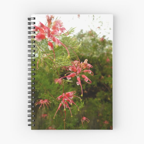 Item preview, Australian Native Flower Series 2 designed and sold by beeden.