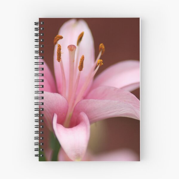 Item preview, Pollen designed and sold by Mel Preston.