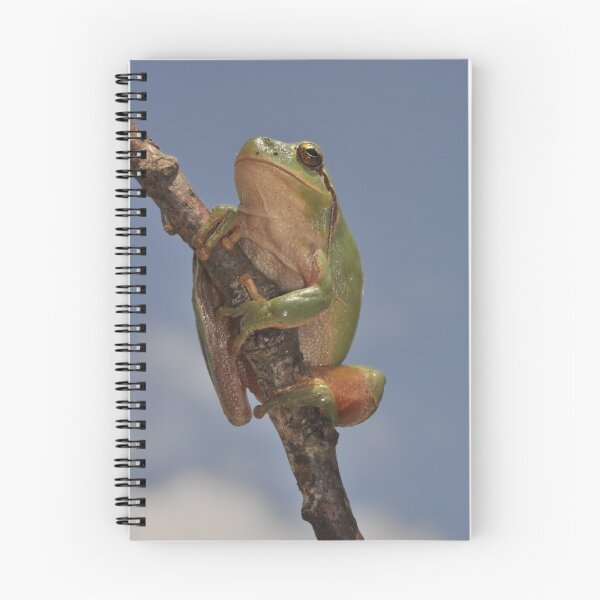 Item preview, TreeFrog designed and sold by Hans Kool.
