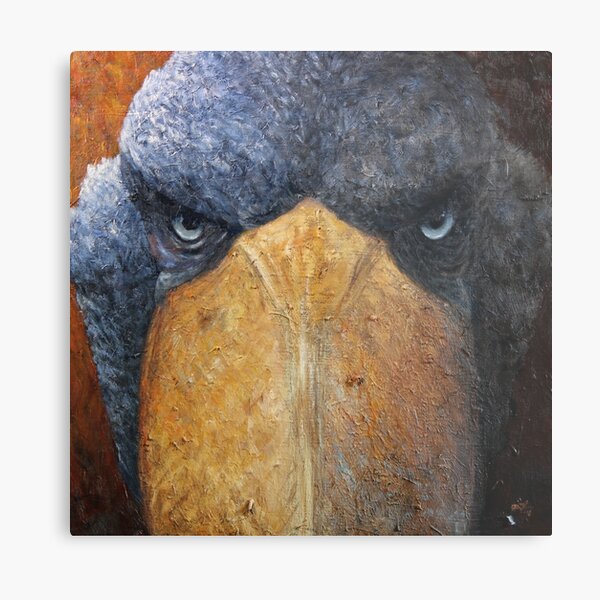 Shoebill (Balaeniceps rex) Metal Print