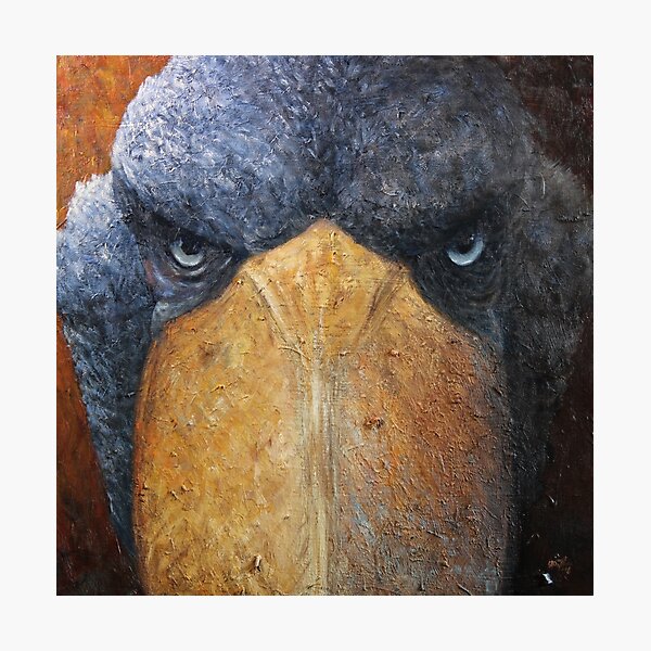 Shoebill (Balaeniceps rex) Photographic Print