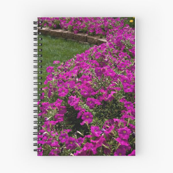 Item preview, Backyard Petunias designed and sold by Adam Bykowski.
