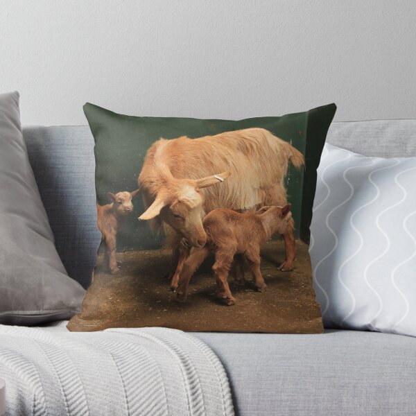 Vauxhall City Farm - Goat & Kids (Wilma, Pebbles & Rubble) Throw Pillow
