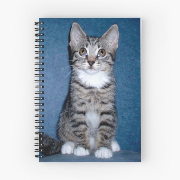 Item preview, Who? Me??....  designed and sold by Sally Green.