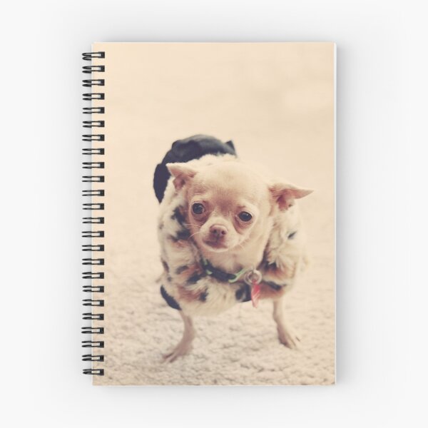 Item preview, Please Meet Zoe designed and sold by Laurie Search Fine Art Photography.