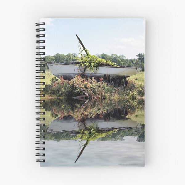 Item preview, Desperately In Need of Water designed and sold by shellyb.