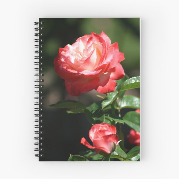 Item preview, The Perfect Rose designed and sold by eaglewatcher4.