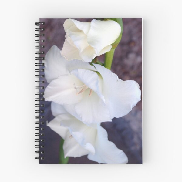 Item preview, White gladiolas designed and sold by B. Randi Bailey.