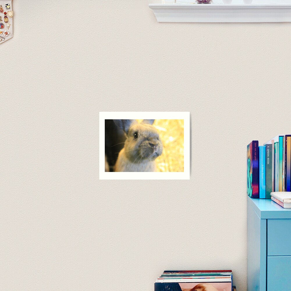 Item preview, Art Print designed and sold by VauxhallFarm.