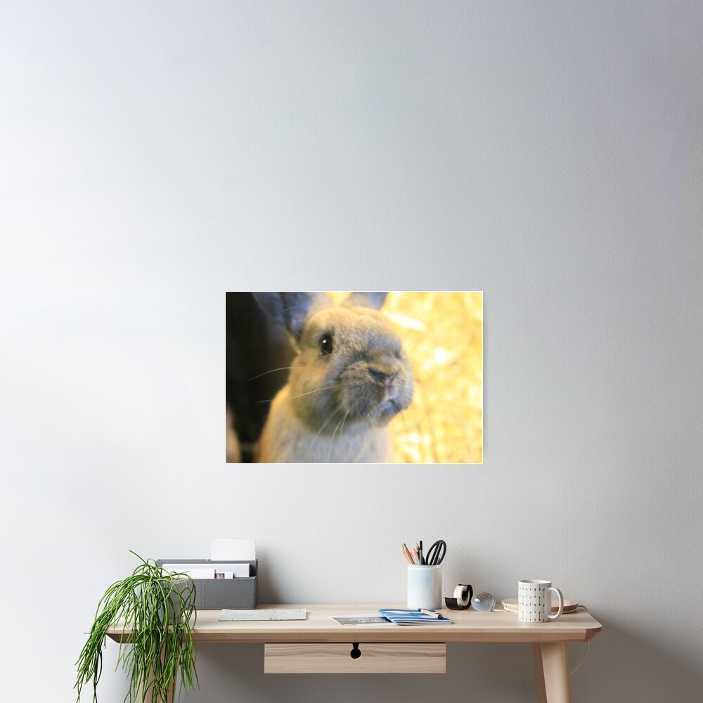 Item preview, Poster designed and sold by VauxhallFarm.