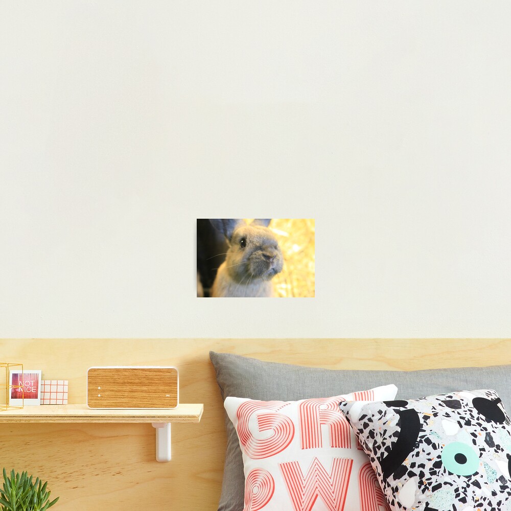 Item preview, Photographic Print designed and sold by VauxhallFarm.