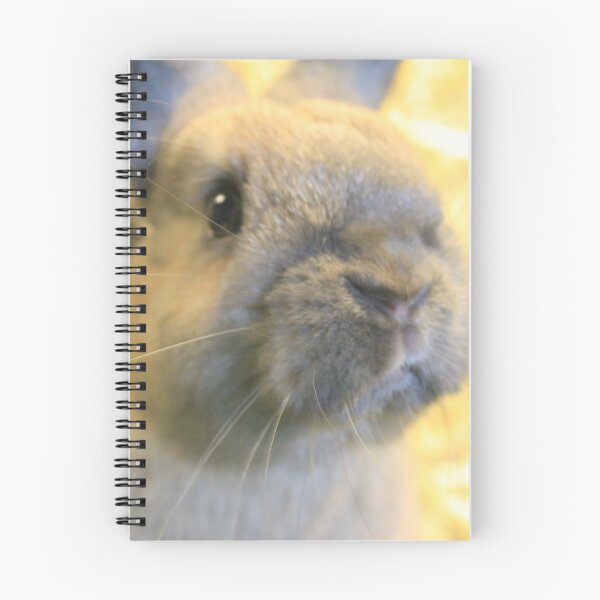 Item preview, Vauxhall City Farm - Rabbit (Nala) designed and sold by VauxhallFarm.