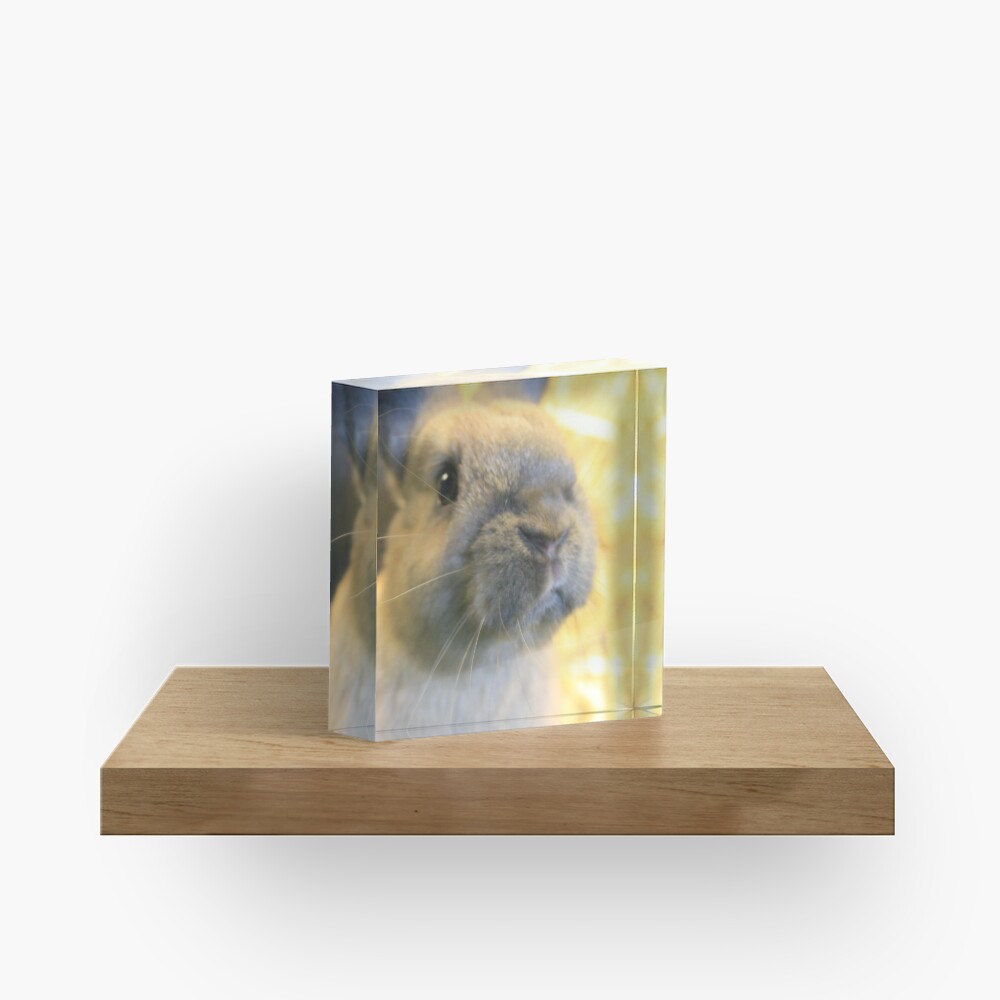 Item preview, Acrylic Block designed and sold by VauxhallFarm.