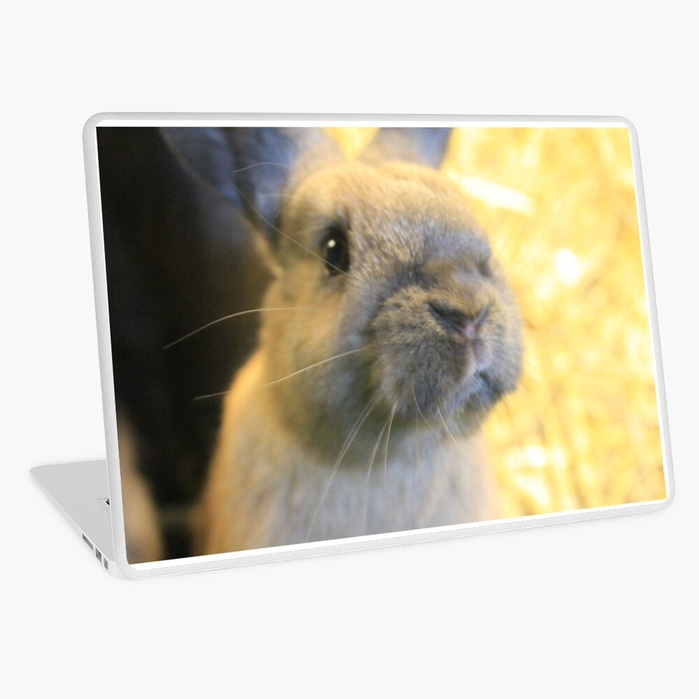Item preview, Laptop Skin designed and sold by VauxhallFarm.
