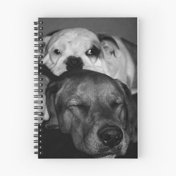 Item preview, dog nap designed and sold by Kimi Wren.